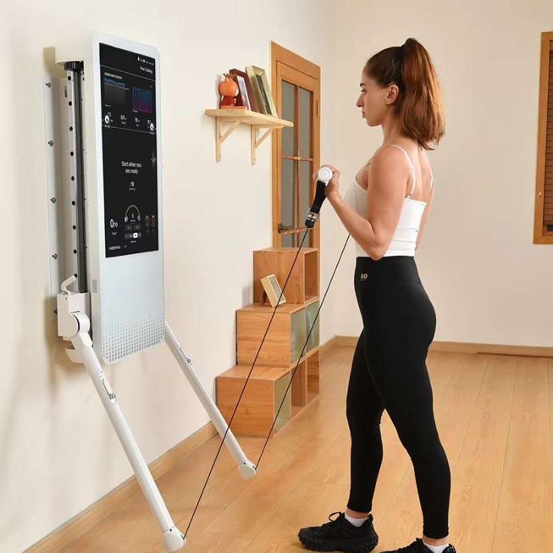 Многофункциональное домашнее ф – обзор и цена Sports Equipment Game